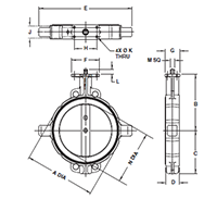 Series 485 Inflatable Seated Butterfly Valves - 2
