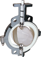 Heavy-Duty Series 586 Inflatable Seated Butterfly Valves